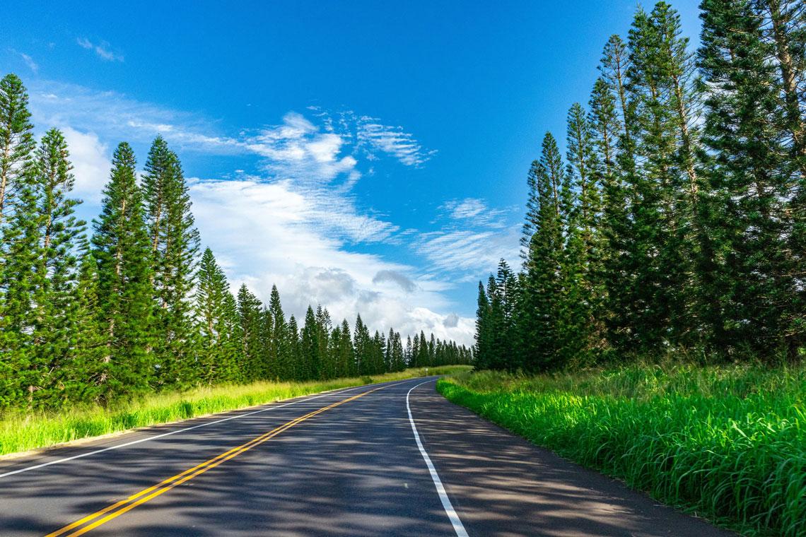 Living Green Means Moving Green